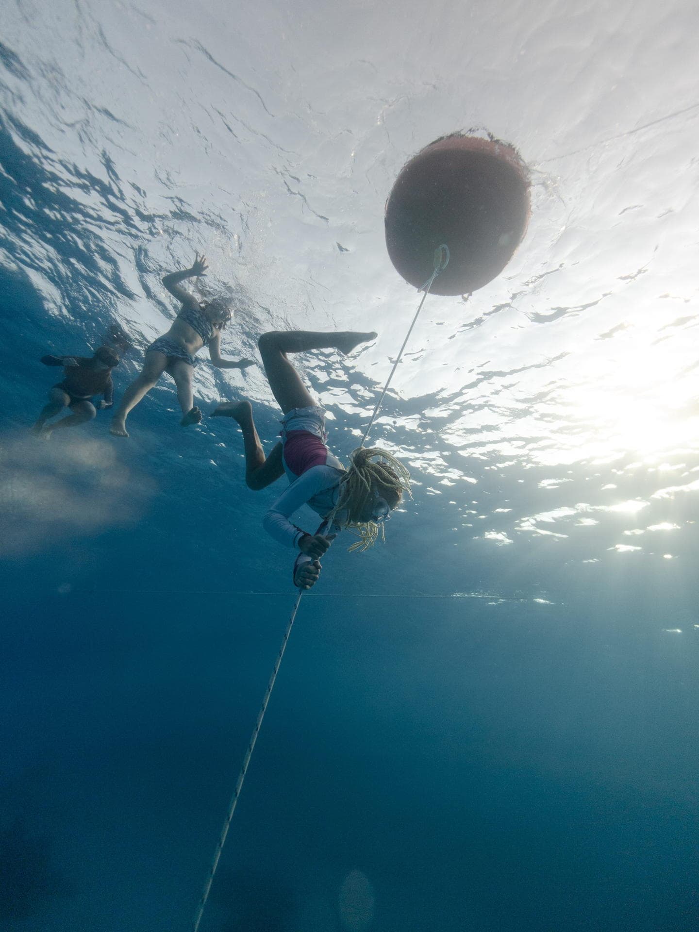 IMG_20240304_170536 s